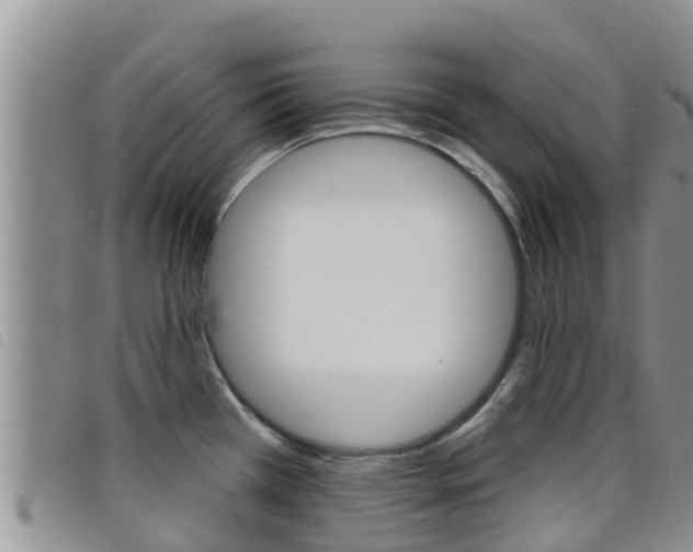 X0000098211385200804241051