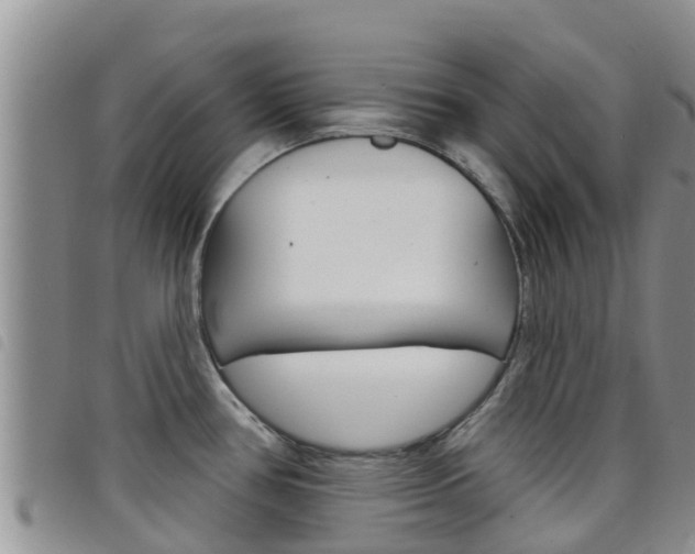 X0000098211386200804241051