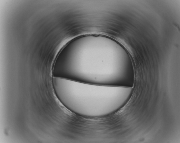 X0000098211388200804241051