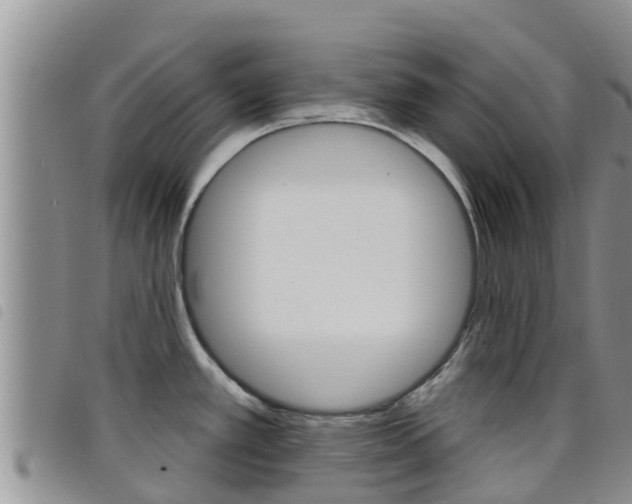 X0000098211389200804241051