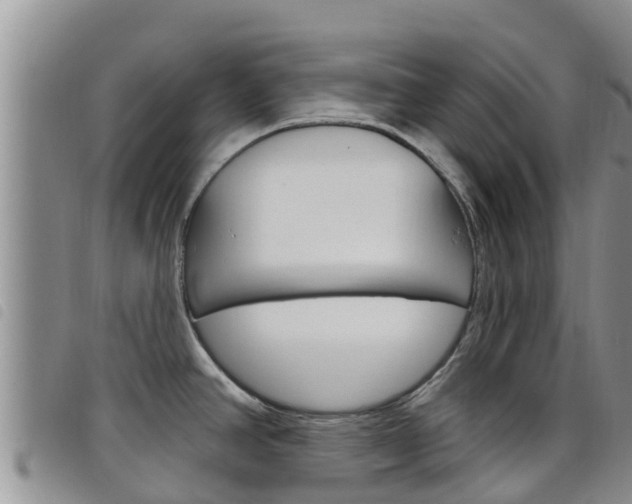 X0000098211390200804241051