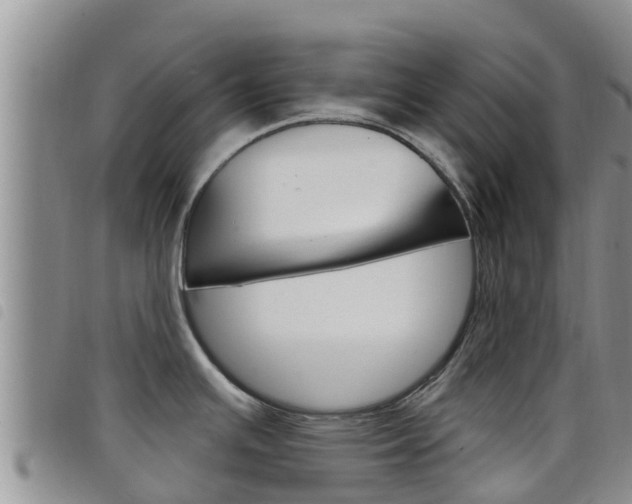 X0000098211391200804241051