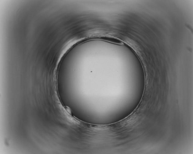X0000098211392200804241051