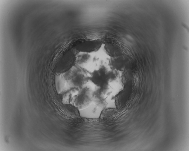 X0000098211393200804241051