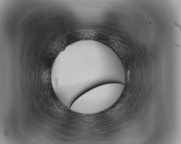 X0000098211395200804241051