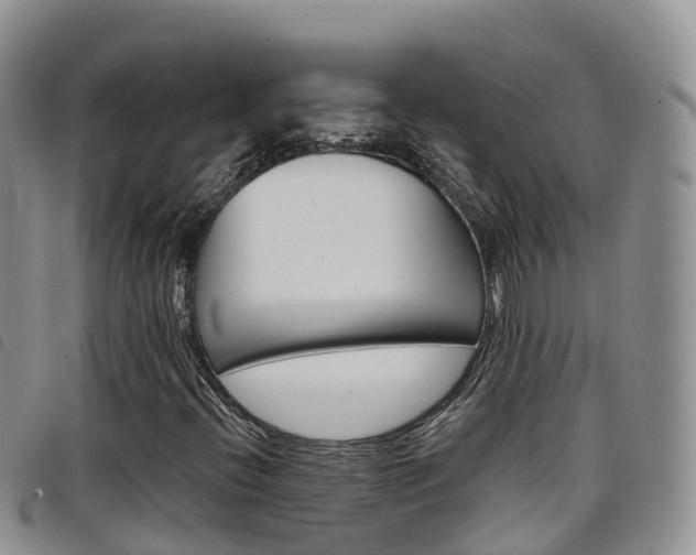 X0000098211396200804241051