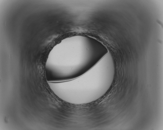 X0000098211398200804241051