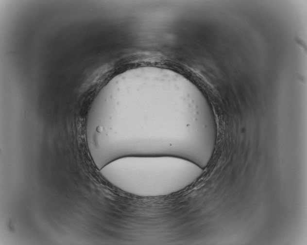 X0000098211399200804241051