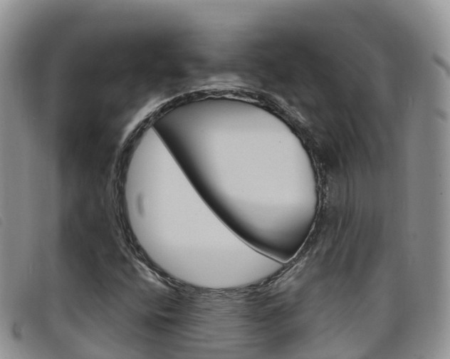 X0000098211400200804241051