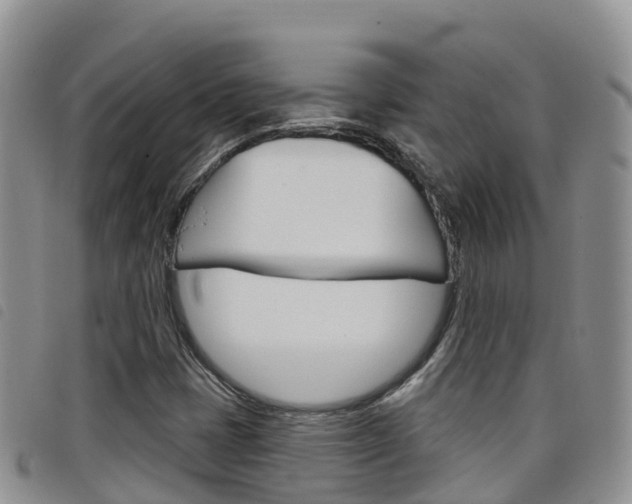 X0000098211401200804241051