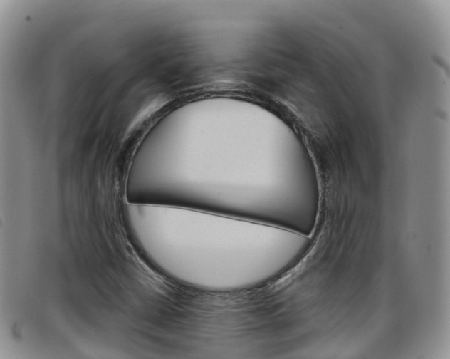 X0000098211402200804241051