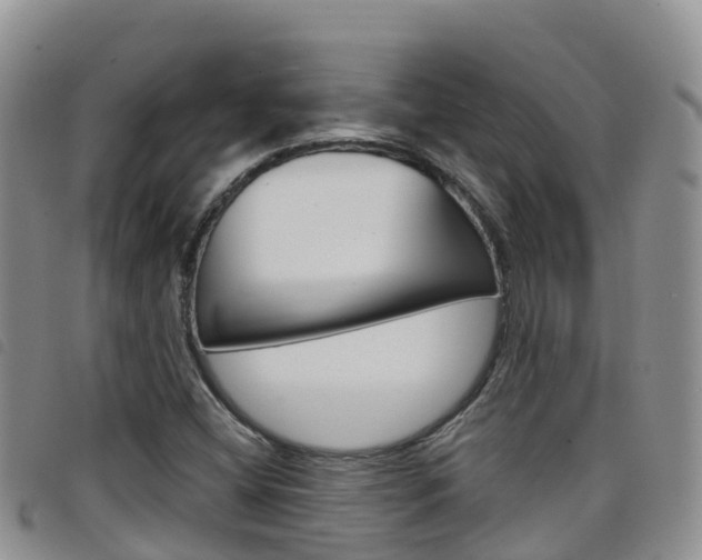 X0000098211404200804241051