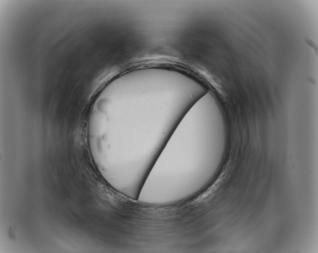 X0000098211405200804241051