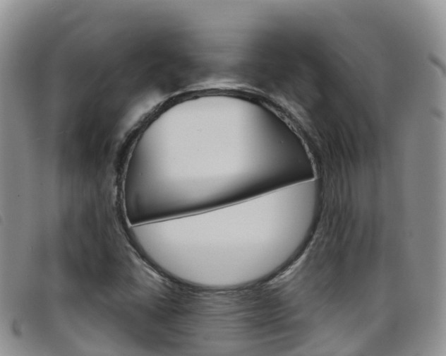 X0000098211406200804241051