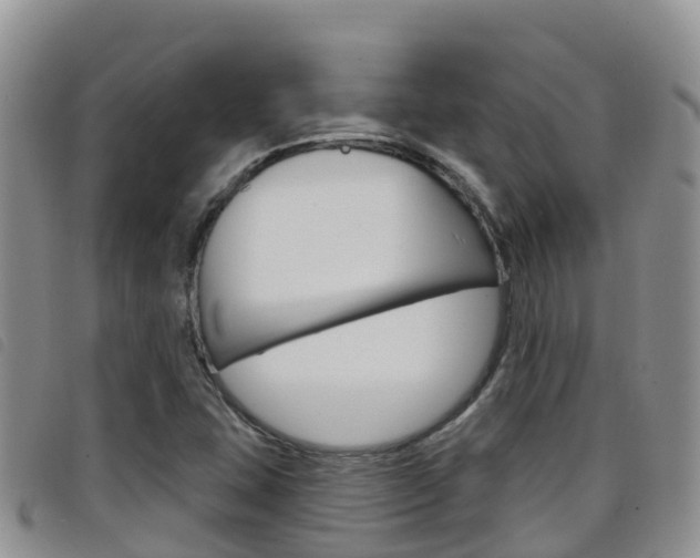 X0000098211407200804241051