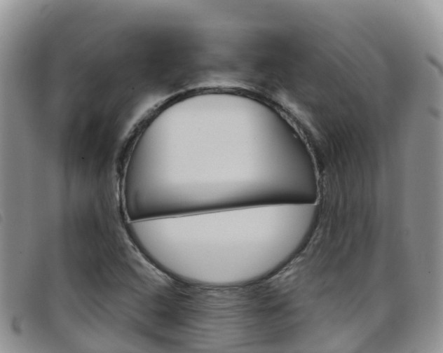 X0000098211408200804241051