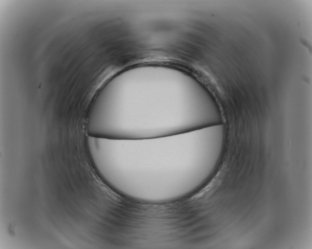 X0000098211409200804241051