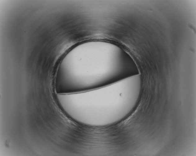 X0000098211410200804241051