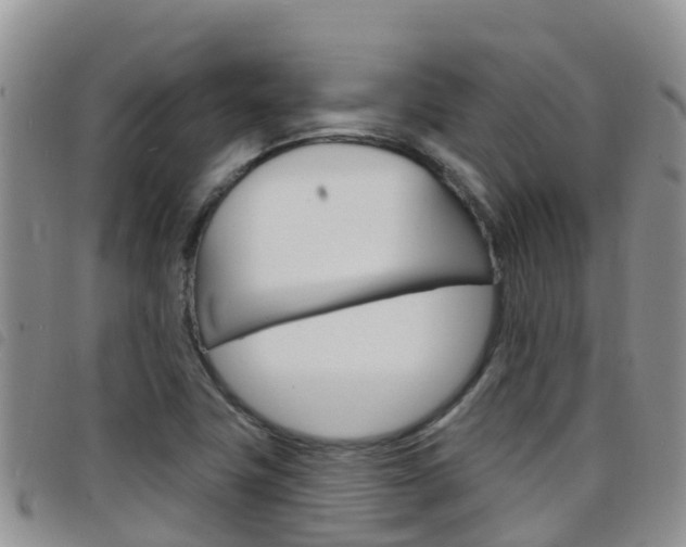 X0000098211411200804241051