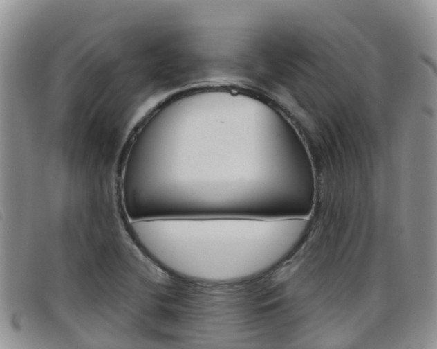 X0000098211412200804241051