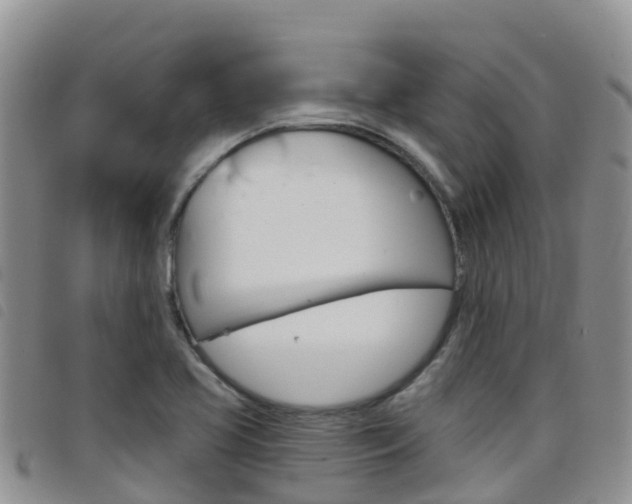 X0000098211413200804241051
