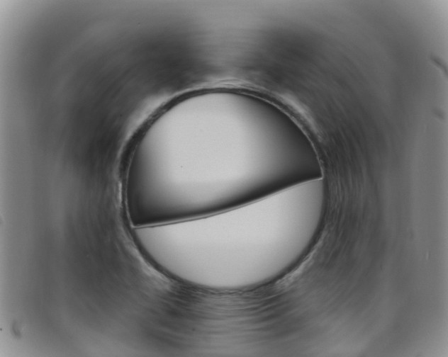 X0000098211414200804241051