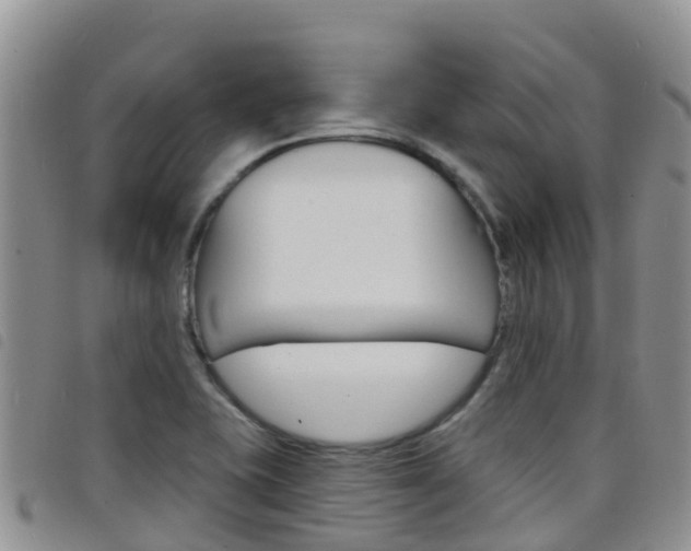 X0000098211415200804241051