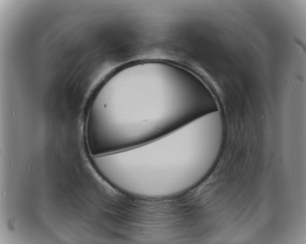 X0000098211416200804241051