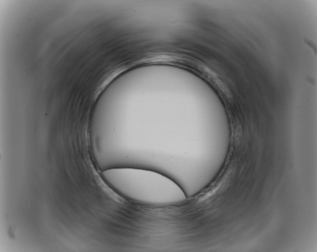 X0000098211417200804241051