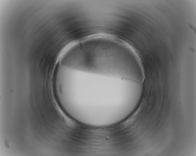 X0000098211418200804241051