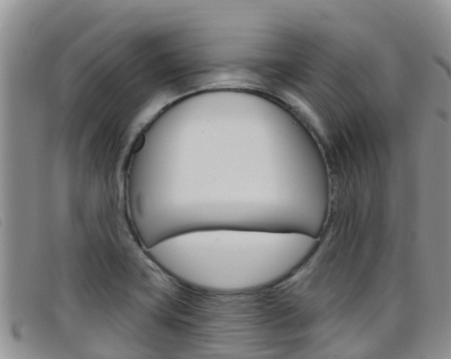 X0000098211419200804241051