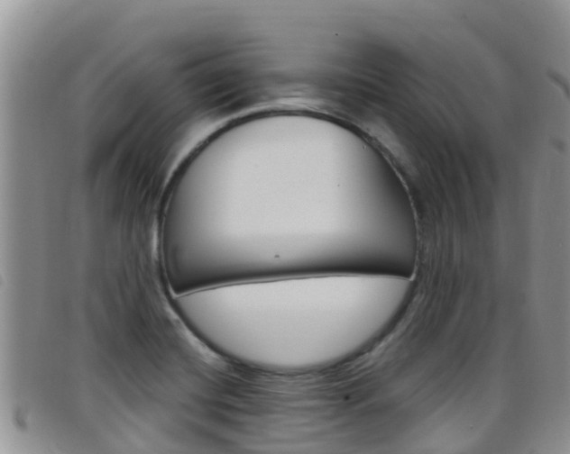 X0000098211420200804241051