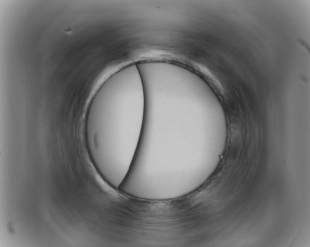 X0000098211421200804241051