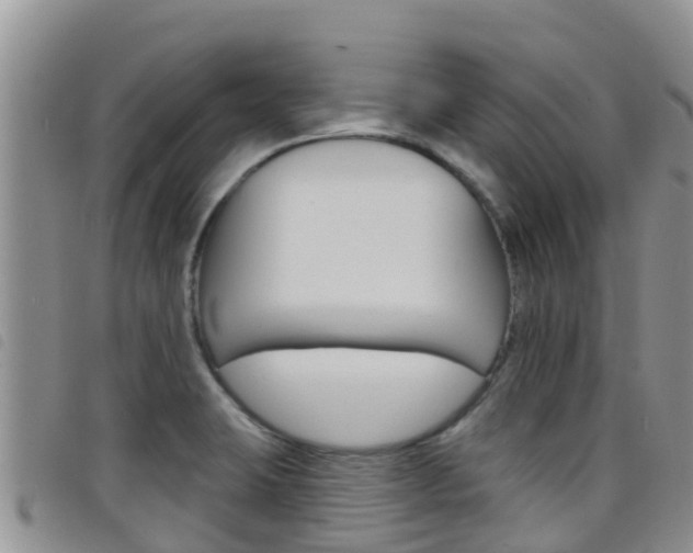 X0000098211423200804241051