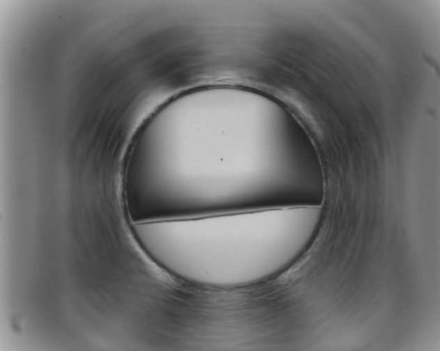 X0000098211424200804241051