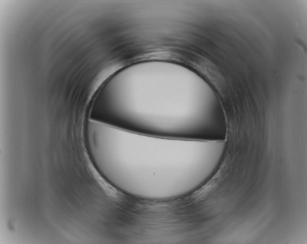 X0000098211426200804241051