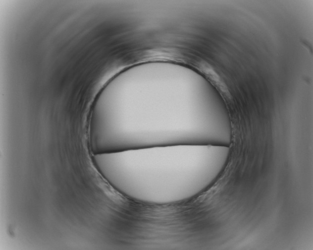 X0000098211427200804241051