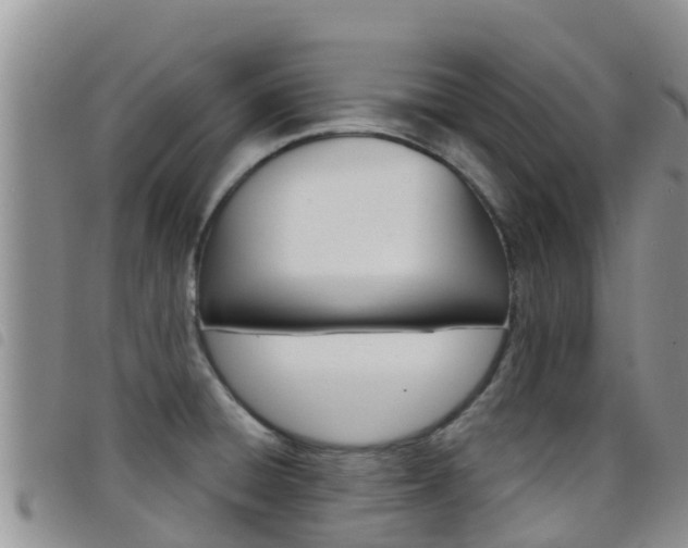 X0000098211428200804241051