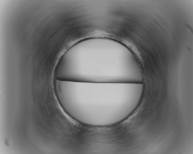 X0000098211429200804241051