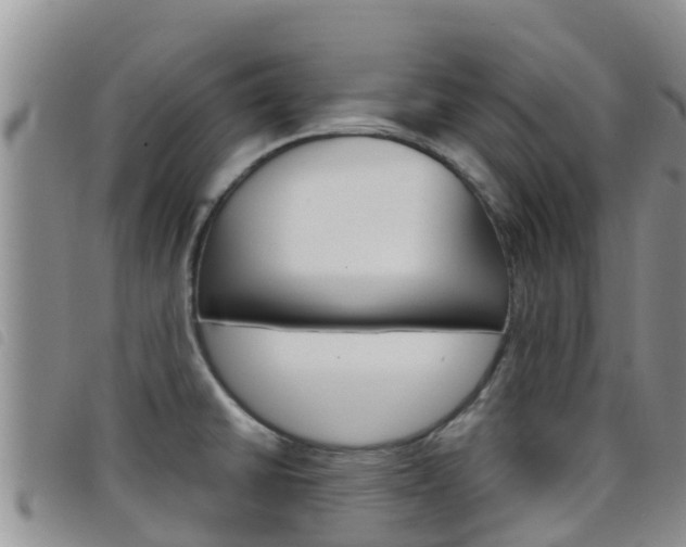 X0000098211430200804241051