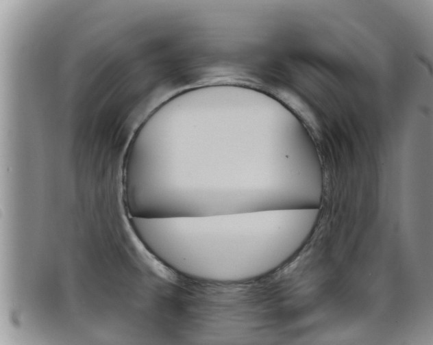X0000098211431200804241051