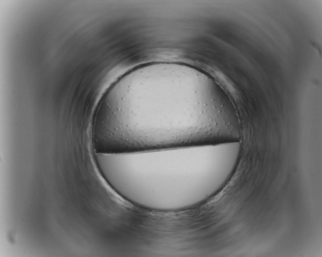 X0000098211432200804241051