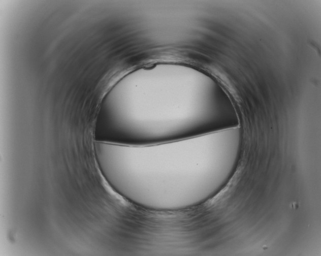X0000098211433200804241051