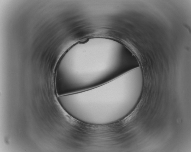 X0000098211434200804241051