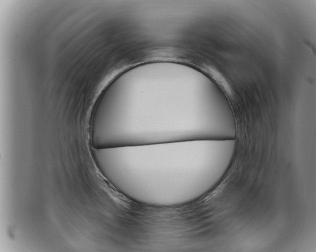 X0000098211435200804241051