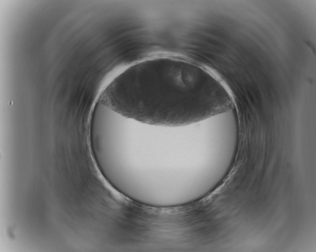 X0000098211437200804241051