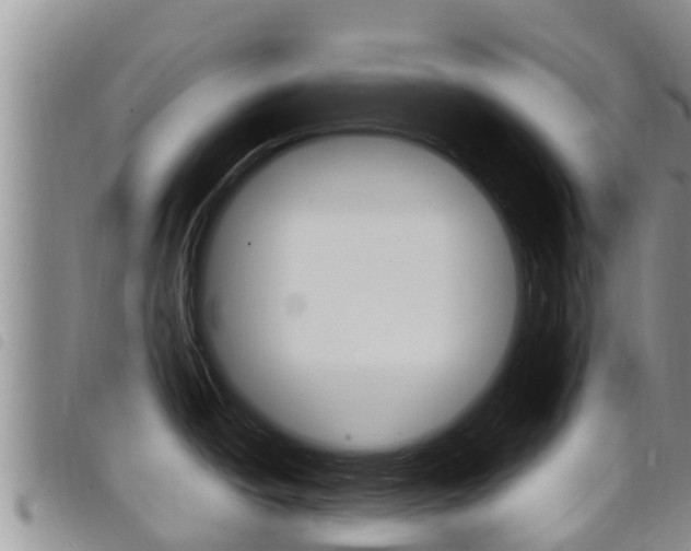 X0000098211438200804241051