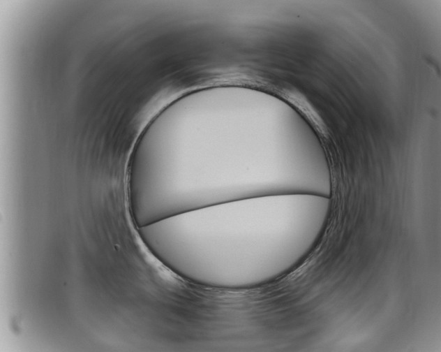 X0000098211439200804241051