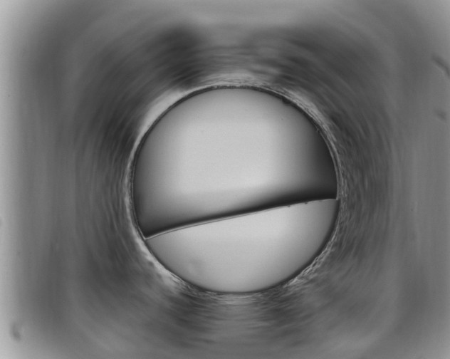 X0000098211440200804241051