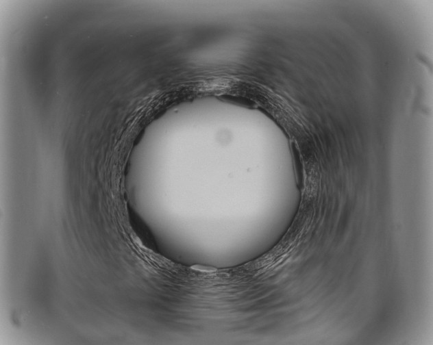 X0000098211441200804241051